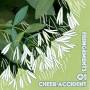 Cheer-accident - Fringements One