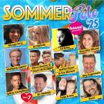 Various Artists - Sommerfete 25