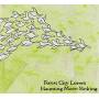 Forest City Lovers - Haunting Moon Sinking