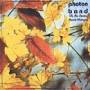 Photon Band - Oh The Sweet Sweet Changes