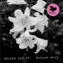 Erland Dahlen - Blossom Bells