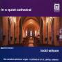 TODD WILSON - IN A QUIET CATHEDRAL/ORGEL