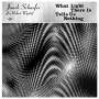 Schaefer (for Robert Wyatt) Janek - What Light There Is Tells Us Nothing