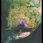 Lake Mary - Slow Grass