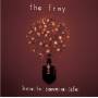 The Fray - How To Save A Life +dvd