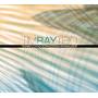 Ellington / Lockwood / Ray / Walker - Windows