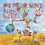 Public Image LTD - What the World Needs Now...