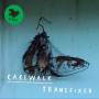 Cakewalk - Transfixed