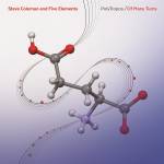 Steve Coleman / Five Elements - PolyTropos/Of Many Turns