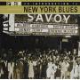 Various Artists - Introduction To New York Blues