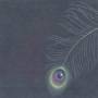 Unwed Sailor - Circles