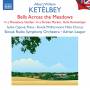 Cpov / Leaper / Slovak Radio Symphony Orchestra / + - British Light Music,Vol.14
