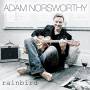 Adam Norsworthy - Rainbird