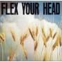 Various - Flex Your Head-A DC Sampler