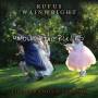 Rufus Wainwright - Unfollow the Rules (The Paramour Session)