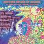 Another Splash Of Colour: New Psychedelia In / Var - Another Splash Of Colour: New Psychedelia In / Var
