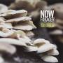 Now Forager / O. S. T. - Now Forager - O.s.t.