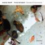 Andrs Schiff - Franz Schubert: Sonatas & Impromptus