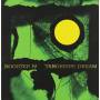 Tangerine Dream - Booster Iv