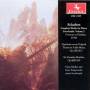 Dana Muller & Gary Steigerwalt - Smtliche Klavierwerke 4-hnd.Vol.2