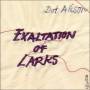 Dot Allison - Exaltation Of Larks