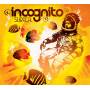 Incognito - Surreal