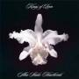 Kings Of Leon - A-ha Shake Heartbreak