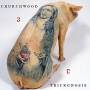 Churchwood - 3: Trickgnosis