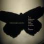 Charlemagne Palestine - Sweet Quasimodo Between Black Vampire Butterflies