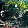 Something Fierce - Don't Be So Cruel