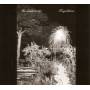 Natalie Beridze / Tba - Forget'fulness