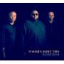 Tyshawn Trio Sorey - Mesmerism