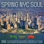 Various - Spring NYC Soul