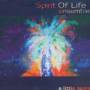Spirit Of Life Ensemble - A Little Oasis