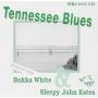 TENNESSEE BLUES / VARIOUS - Tennessee Blues