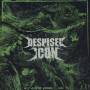 Despised Icon - Beast