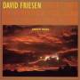 David Friesen - Amber Skies