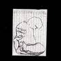 Willy Mason - Untitled 5-song Ep
