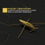 Wolf & Anthony Romaniuk - Quintets For Pianoforte & Winds