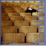 Fred Frith - Back To Life