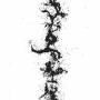 John Zorn - True Discoveries Of Witches & Demons
