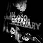 Jim Campilongo - Dream Dictionary