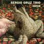 Sergio Trio Gruz - Indios