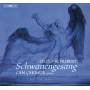 Can Cakmur - Schwanengesang