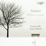 F. Schubert - Winterreise