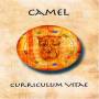 Camel - Curriculum Vitae [EN-Version, Regio 1]