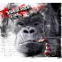 Shaka Ponk - The White Pixel Ape (smoking Isolate To Keep In Shape)