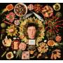 Sweet Baboo - Wild Imagination