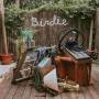 Dog Slaughter Beach - Birdie