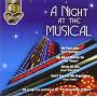 V / A - A Night At The Musical